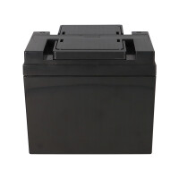 Kung Long WP50-12NE 12V 50Ah AGM Akku für Swiss-Trac SW