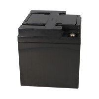 Kung Long WP50-12NE 12V 50Ah AGM Akku für Swiss-Trac SW