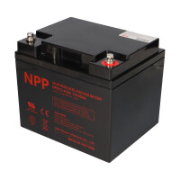 NPP NPD12-45 AGM Deep-Cycle Bleiakku 12V 45Ah zyklenfest 6