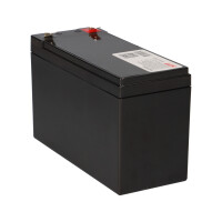 NPP HR1234W High-Rate AGM Bleiakku 12V 9Ah Faston 6,3 mm 7