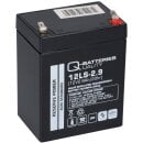 PB Akku Q-Batteries 12LS-2.9 12V 2,9Ah f. Hill-Rom Liko...