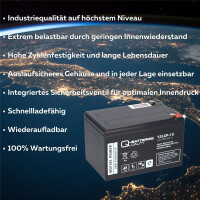 Quality-Batteries 12LCP-12 12V 13Ah AGM Akku – passend