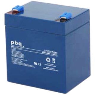 PATONA Platinum LiFePO4 Akku Batterie Ersatz 12V 50Ah 600Wh 50.000