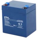 pbq LiFePO4-Akku 12,8V / 5Ah inkl. BMS Balancer Faston 6,3