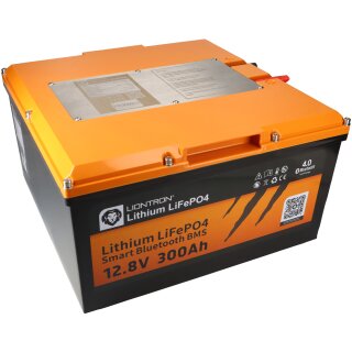 Liontron 20Ah 12V LiFePO4 Lithium Batterie Wohnmobil Speicherbatterie