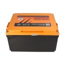 LIONTRON LiFePO4 Akku 12,8V 200Ah LX Arctic Untersitz BMS bis -30°C mit Bluetooth