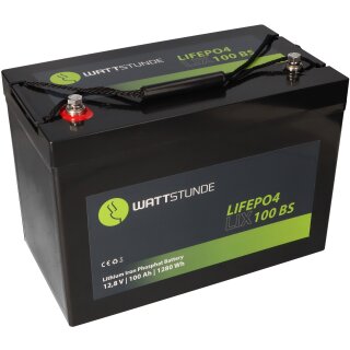 LiFePO4 Batterie 12V 100Ah inkl. BMS