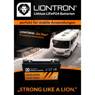SET LIONTRON LiFePO4 Akku 12,8V 100Ah + Victron Orion-Tr Smart 12