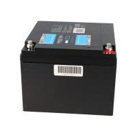 PATONA Platinum LiFePO4 LiFePO4-Akku 12V 30Ah 360Wh 30.000mA