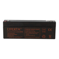 Effekta BT 12-2,3 AGM Bleiakku 1 gallery 34_2nd