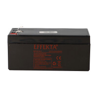 Effekta BT 12-3,2 AGM Bleiakku 1 gallery 34_2nd