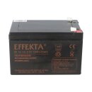 Effekta BT 12-12L VdS Blei-Vlies Akku AGM VRLA 12V 12Ah