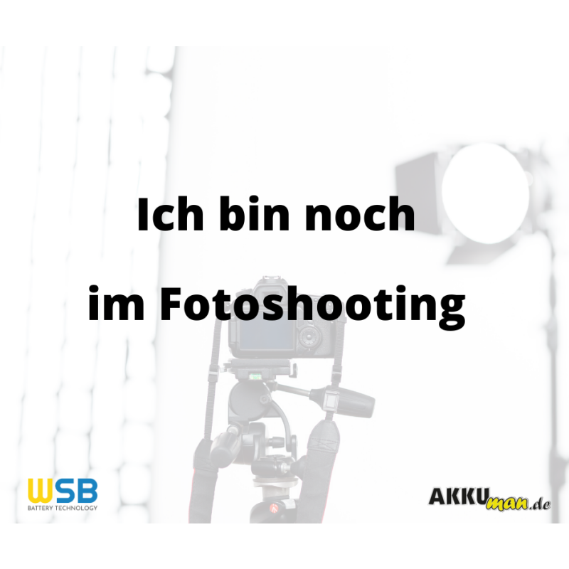 Down Tube-Set E-Bike Akku Hailong-B kompatibel zu Ansmann - 36V 10,4Ah