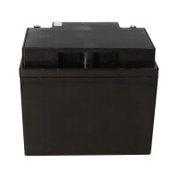 Uplus US12-45 AGM Akku 12V 45Ah – passend für USV