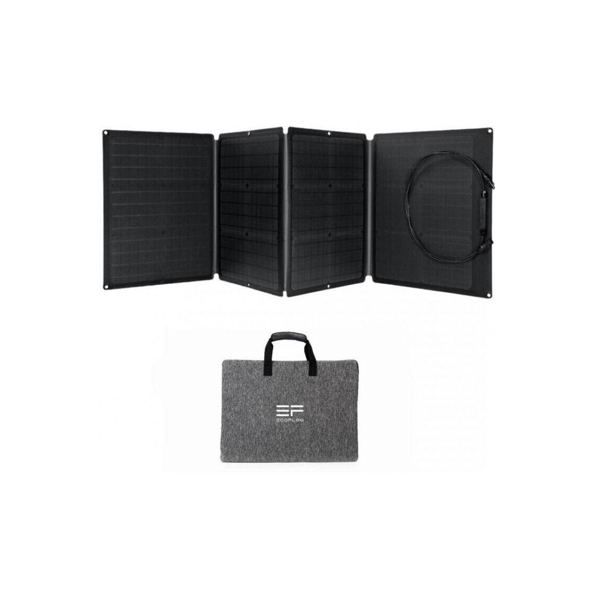 EcoFlow Solar Panel 110W faltbares Solarmodul mit Tragetasche
