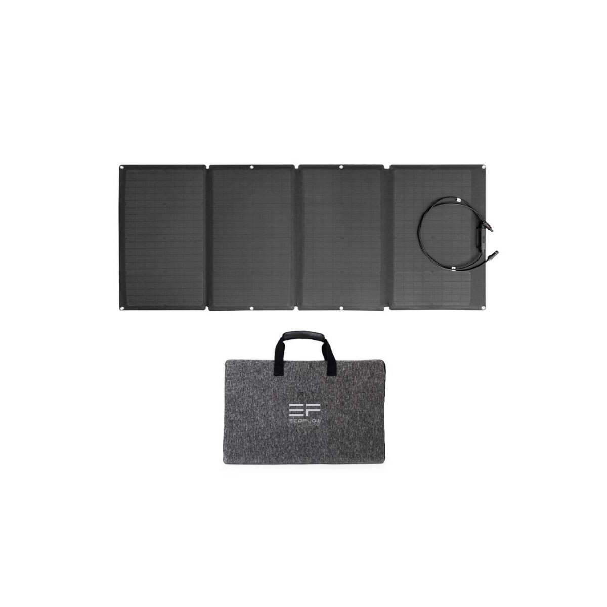 EcoFlow Solar Panel 160W faltbares Solarmodul mit Tragetasche