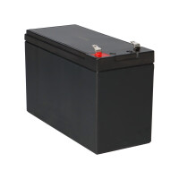 Kung Long WP7-12(28W)/F1 12V 7Ah AGM Bleiakku F1 4,8mm VdS 6