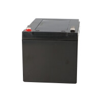 XCell XP12-12F2 AGM Bleiakku 12V 12Ah - T2 / Faston 6,3 mm -