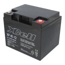 XCell Bleiakku XP45-12 12V 45Ah Pb M6 Innengewinde