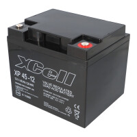 XCell XP45-12 AGM Bleiakku 12V 45Ah - M6-Innengewinde / Schr