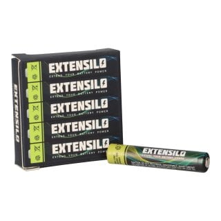 5x Alkaline Batterien Typ AAAA LR61