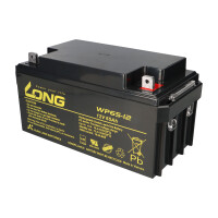 Kung Long WP65-12 12V 65Ah AGM Bleiakku M6 VdS 6