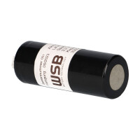 Akku LiFePO4 3,2 V 3,3 Ah Not- und Sicherheitsbeleuchtung f&