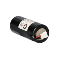 Akku LiFePO4 3,2 V 3,3 Ah Not- und Sicherheitsbeleuchtung f&