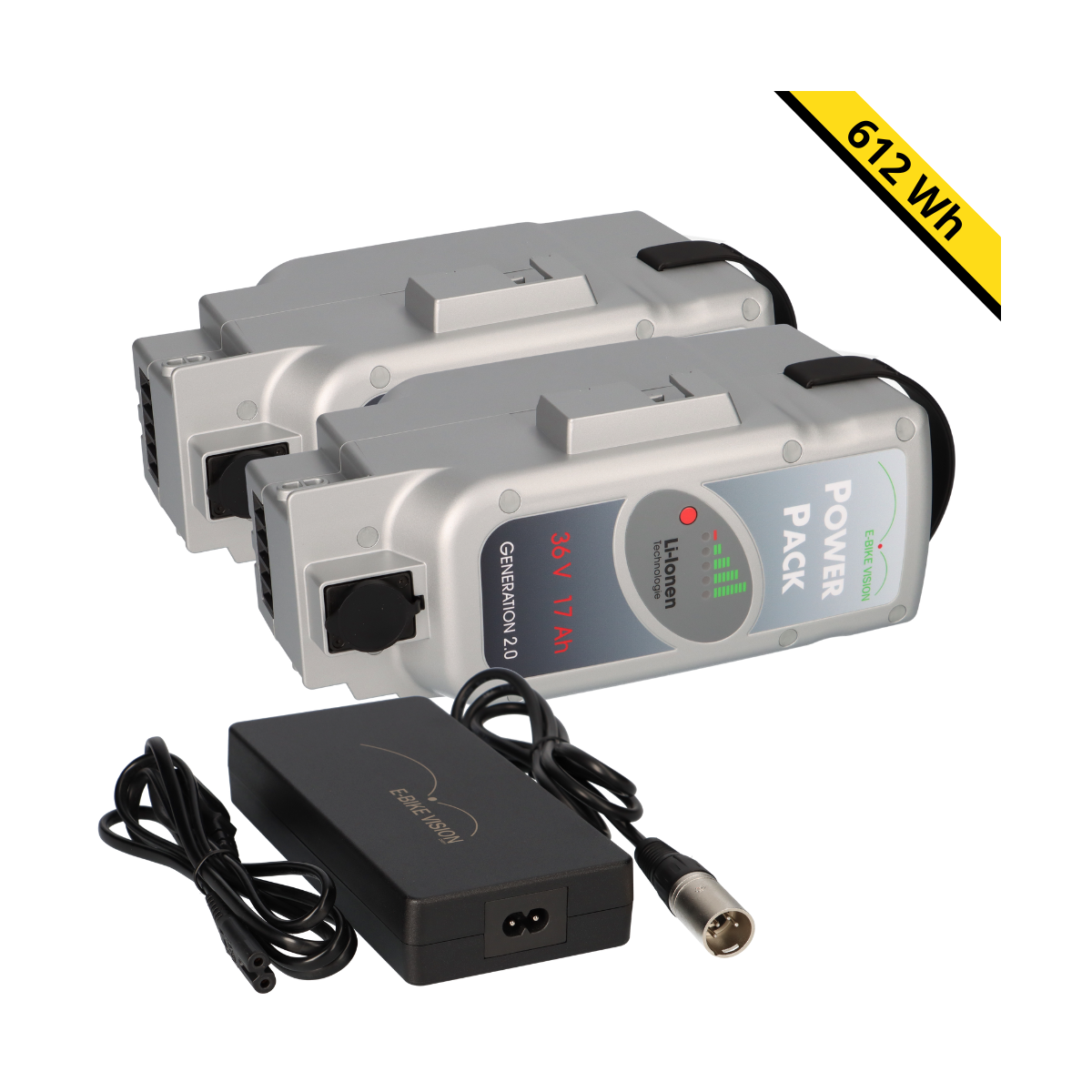 2x E-Bike Vision PowerPack Panasonic 36V 17Ah 612Wh + 4A Ladegerät