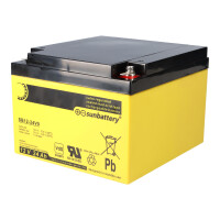 AGM Ersatzakku 12V 24Ah für ABUS BT2240 – SUN Bat
