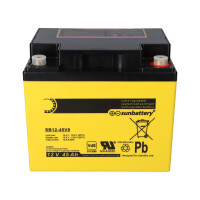 AGM Ersatzakku 12V 45Ah für Aritech BS132N – SUN 
