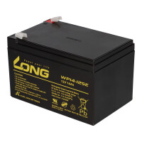 Kung Long WP14-12SE Akku-Satz 24V 14Ah für 24V E-Roller