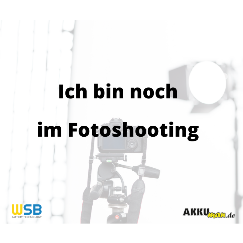 https://www.akkuman.de/shop/media/image/product/15767/lg/ladegeraet-fuer-e-bike-li-ionen-akkus-48v-2a-dc-stecker.png