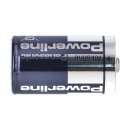 8x Panasonic LR20 Powerline Mono Batterie D Industrial
