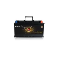 Perfektium LiFePO4 Batterie 12.8V 100Ah Untersitzbatterie mi