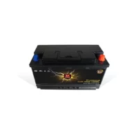 Perfektium LiFePO4 Batterie 12.8V 100Ah Untersitzbatterie mi