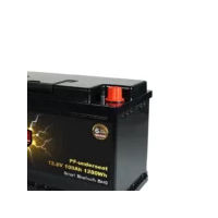Perfektium LiFePO4 Batterie 12.8V 100Ah Untersitzbatterie mi
