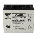 M5 Flachpol Yuasa REC22-12B