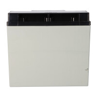 Yuasa REC22-12B zyklenfester AGM-Bleiakku 12V 22Ah – M