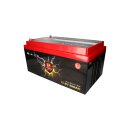 Perfektium LiFePO4 Batterie 12.8V 300Ah mit BMS Heizfolie & Bluetooth mit 0% MwSt nach §12 Abs. 3 UstG