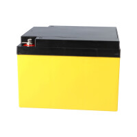 AGM Ersatzakku 12V 24Ah für SSB SBLV24-12i – SUN 