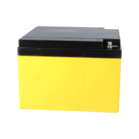 AGM Ersatzakku 12V 24Ah für SSB SBLV24-12i – SUN 