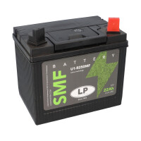 Batterie 12V 22Ah für Rasenmäher Rasentraktor LB U