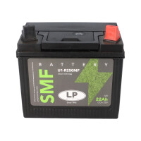 Batterie 12V 22Ah für Rasenmäher Rasentraktor LB U