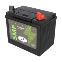 Batterie 12V 22Ah für Rasenmäher Rasentraktor LB U