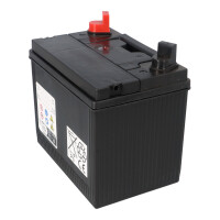 Batterie 12V 22Ah für Rasenmäher Rasentraktor LB U