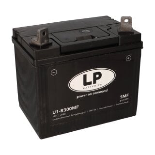 Batterie 12V 24Ah für Rasenmäher Rasentraktor LB U1-R300MF