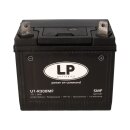 Batterie 12V 24Ah für Rasenmäher Rasentraktor LB U1-R300MF