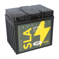 Batterie AGM SLA 12V 30Ah für Motor productbox