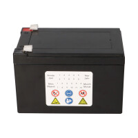 Landport LP12-12 T2 12V 12Ah AGM Bleiakku VdS 6,3 mm Faston 
